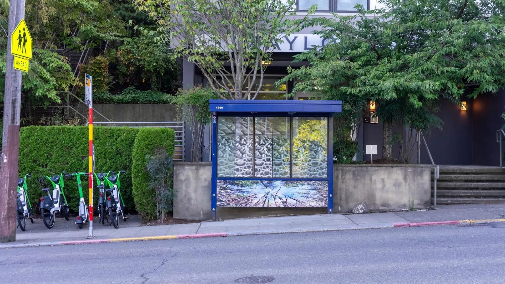 Σπίτι διακοπών Travelers Dream, Walk To Space Needle, Parking, Backyard Σιάτλ Ηνωμένες Πολιτείες της Αμερικής