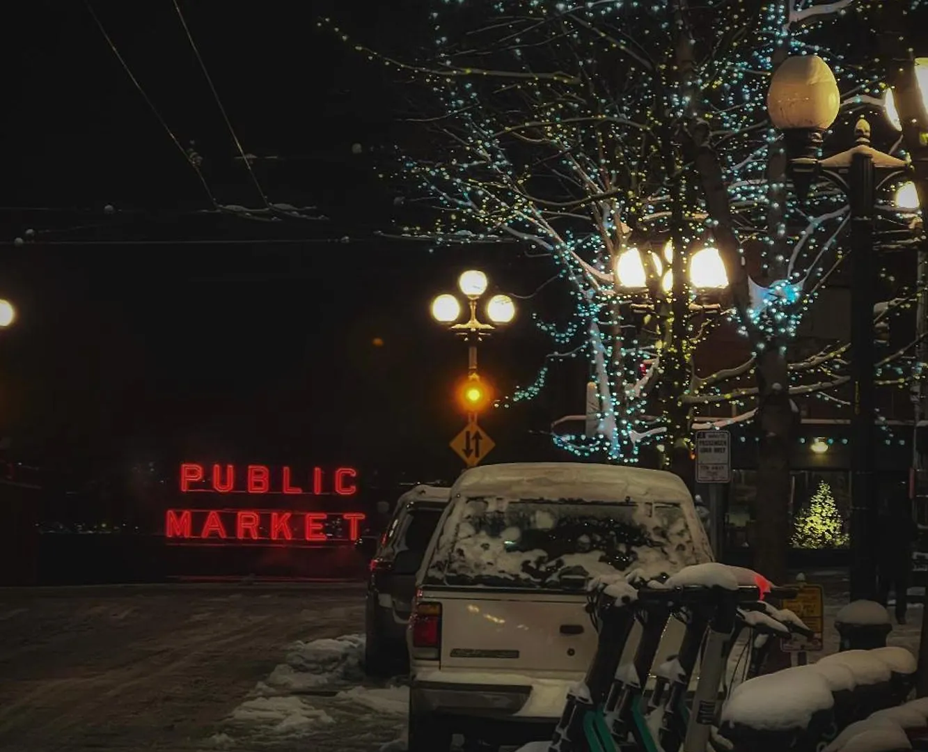 Дом отдыха Travelers Dream, Walk To Space Needle, Parking, Backyard Сиэтл